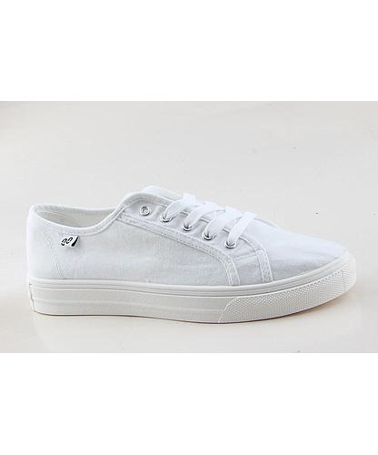 GC065A-02