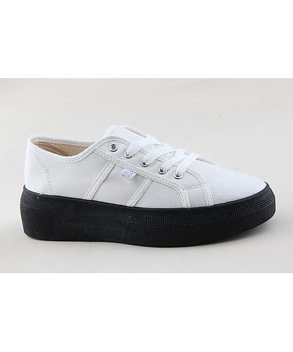 GC066A-03