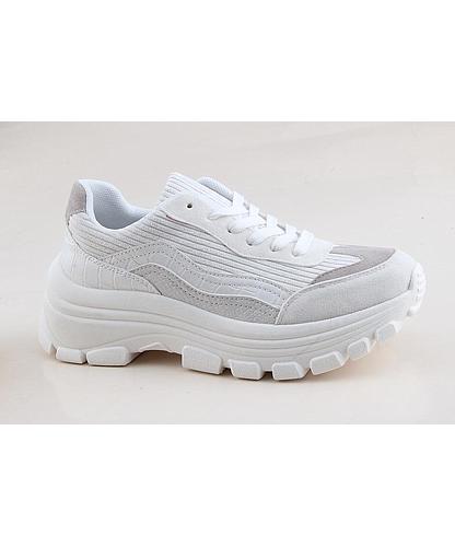 GC069B-01