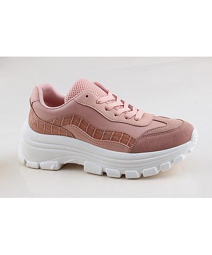 GC069B-04