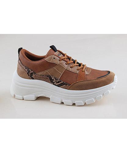 GC069C-01
