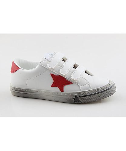 STAR C-01